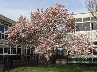 March Newsletter